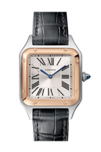 Cartier Santos Dumont Steel Gold Dial