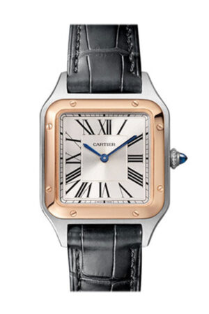 Cartier Santos Dumont Steel Gold Dial
