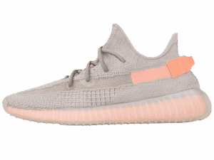 adidas Yeezy Boost 350 V2 True Form