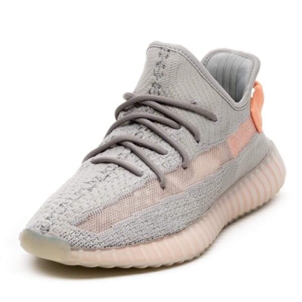 adidas Yeezy Boost 350 V2 True Form - Image 2