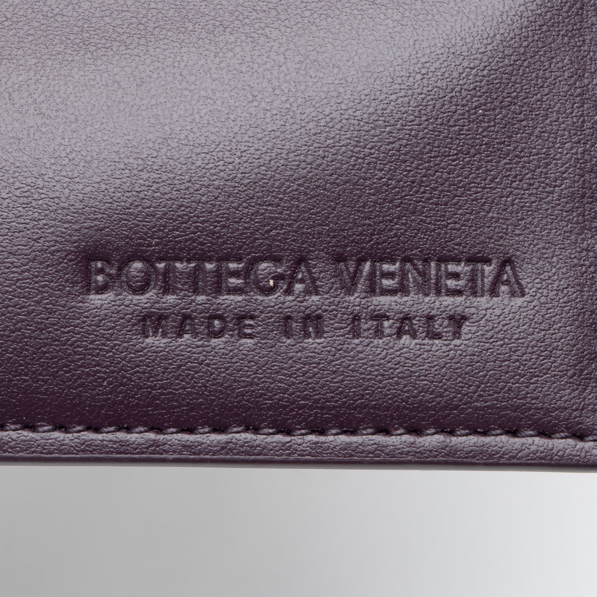 Bottega Veneta Pleated Calfskin Arco Small Tote - Image 9